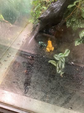 カワスイ 川崎⽔族館に投稿された画像（2021/11/17）