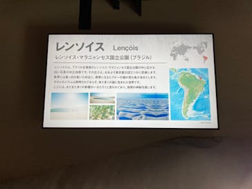 カワスイ 川崎⽔族館に投稿された画像（2021/11/17）