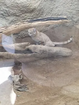 神戸どうぶつ王国に投稿された画像（2021/11/17）