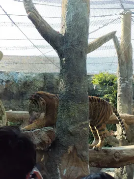 神戸どうぶつ王国に投稿された画像（2021/11/17）