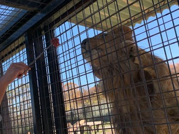 那須サファリパークに投稿された画像（2021/11/17）