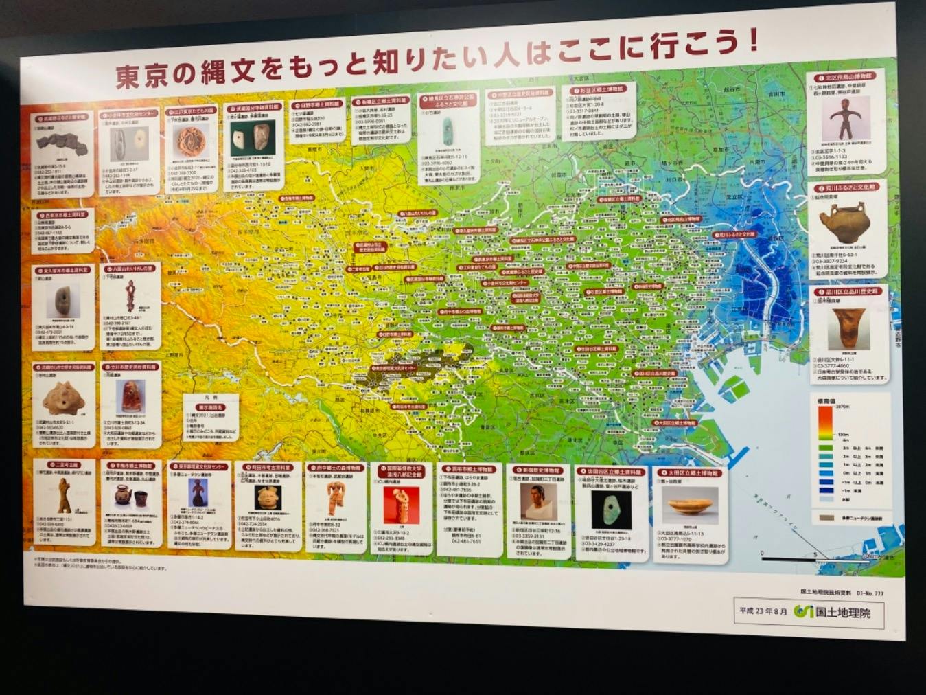 東京に貝塚があることは知ってい |ぽむ さまの口コミ|アソビュー!