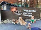 わんダフルネイチャーヴィレッジに投稿された画像（2021/11/17）