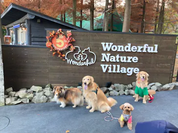 わんダフルネイチャーヴィレッジに投稿された画像（2021/11/17）