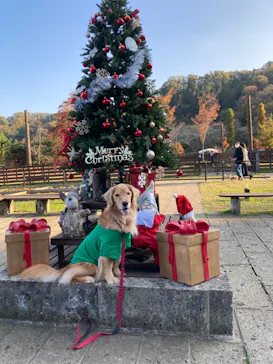 わんダフルネイチャーヴィレッジに投稿された画像（2021/11/17）