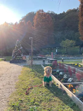 わんダフルネイチャーヴィレッジに投稿された画像（2021/11/17）