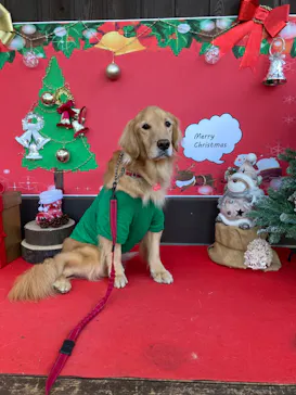 わんダフルネイチャーヴィレッジに投稿された画像（2021/11/17）