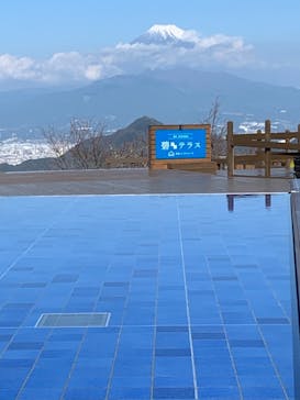 伊豆パノラマパークに投稿された画像（2021/11/17）