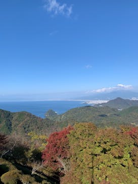 伊豆パノラマパークに投稿された画像（2021/11/17）