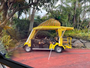 ナゴパイナップルパークに投稿された画像（2021/11/17）