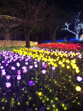 さがみ湖MORI MORIに投稿された画像（2021/11/17）