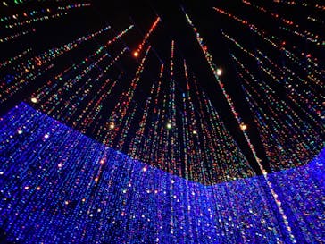 さがみ湖MORI MORIに投稿された画像（2021/11/17）