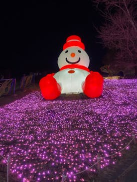 さがみ湖MORI MORIに投稿された画像（2021/11/17）