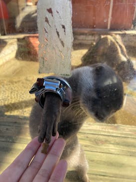 那須ハイランドパークに投稿された画像（2021/11/17）