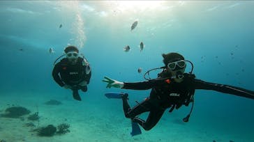 青の洞窟専門店　沖縄ダイビングショップ和に投稿された画像（2021/11/16）