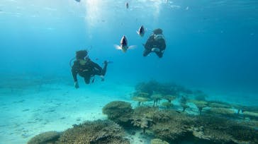 青の洞窟専門店　沖縄ダイビングショップ和に投稿された画像（2021/11/16）