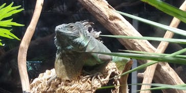 カワスイ 川崎⽔族館に投稿された画像（2021/11/17）