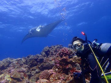 マリンショップtaitaiに投稿された画像（2021/11/17）