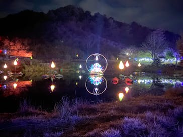 KYOTO ILLUMINATION SYNESTHESIA HILLS るり渓温泉に投稿された画像（2021/11/17）