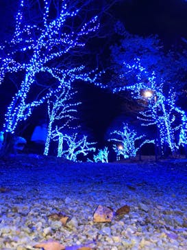 KYOTO ILLUMINATION SYNESTHESIA HILLS るり渓温泉に投稿された画像（2021/11/17）