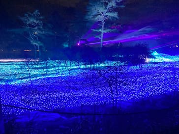 KYOTO ILLUMINATION SYNESTHESIA HILLS るり渓温泉に投稿された画像（2021/11/17）