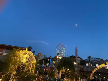 ひらかたパークに投稿された画像（2021/11/17）