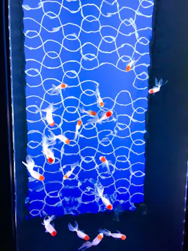 すみだ水族館に投稿された画像（2021/11/17）