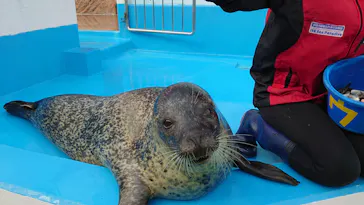 ゼロ距離水族館 伊勢シーパラダイスに投稿された画像（2021/11/17）