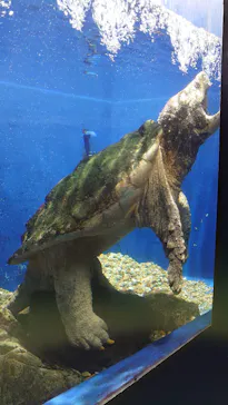 ゼロ距離水族館 伊勢シーパラダイスに投稿された画像（2021/11/17）