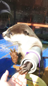 ゼロ距離水族館 伊勢シーパラダイスに投稿された画像（2021/11/17）