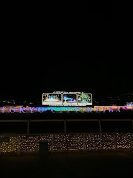 東京メガイルミに投稿された画像（2021/11/17）