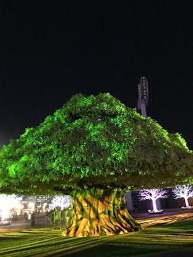 東京メガイルミに投稿された画像（2021/11/17）