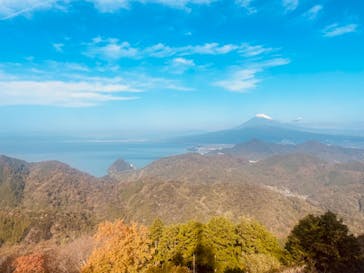 伊豆パノラマパークに投稿された画像（2021/11/17）