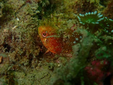 LOVE&BLUE（ラブアンドブルー）に投稿された画像（2021/11/18）