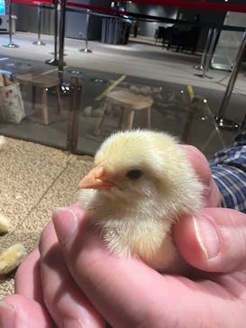 Moff animal world MARK IS みなとみらい店に投稿された画像（2021/11/18）