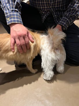 Moff animal world MARK IS みなとみらい店に投稿された画像（2021/11/18）