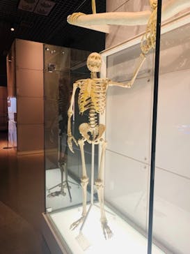 国立科学博物館に投稿された画像（2021/11/18）