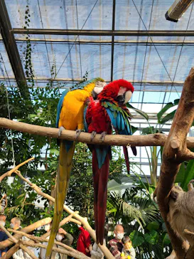 神戸どうぶつ王国に投稿された画像（2021/11/18）