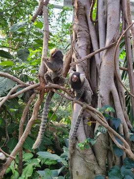 神戸どうぶつ王国に投稿された画像（2021/11/18）