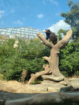 神戸どうぶつ王国に投稿された画像（2021/11/18）