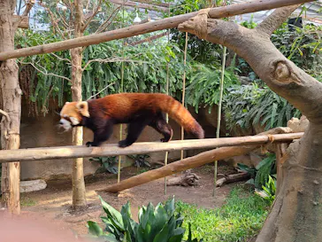 神戸どうぶつ王国に投稿された画像（2021/11/18）