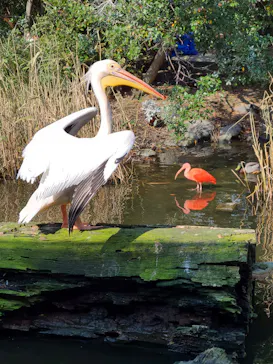 神戸どうぶつ王国に投稿された画像（2021/11/18）