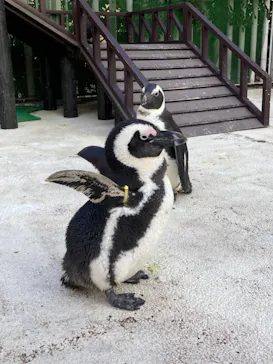横浜・八景島シーパラダイスに投稿された画像（2021/11/18）