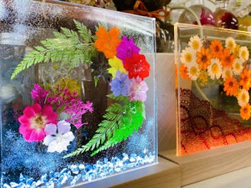 ずこうしつ〜sugamo〜に投稿された画像（2021/11/18）