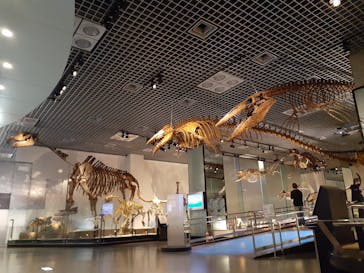 国立科学博物館に投稿された画像（2021/11/18）