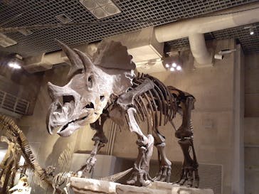 国立科学博物館に投稿された画像（2021/11/18）