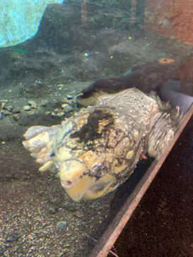 天王寺動物園に投稿された画像（2021/11/18）