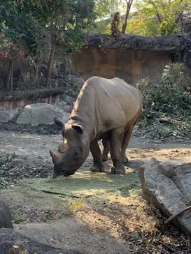天王寺動物園に投稿された画像（2021/11/18）