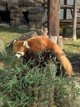 天王寺動物園に投稿された画像（2021/11/18）