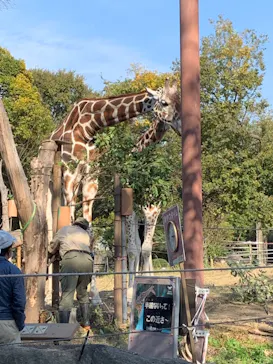 天王寺動物園に投稿された画像（2021/11/18）